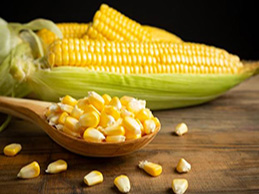 Corn